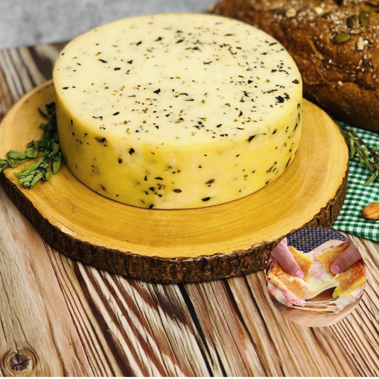 Queso Suizo con Orégano – Pasterizado – Molde